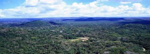Mexico zet de toon in bosbeheer