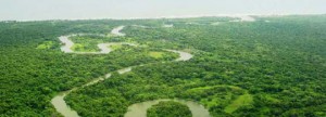 Hondurese militairen planten 11.000 hectare bos