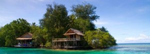 Ecotoerisme bloeit op eilanden in Stille Zuidzee