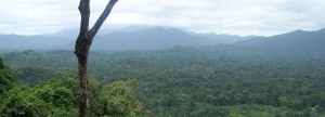 Honduras geeft miljoen hectare terug aan inheemse stam