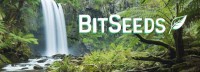 Digitale munt BitSeed trekt ten strijde tegen ontbossing